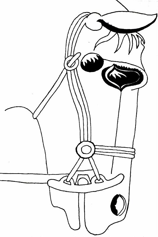 Thrakischer Hengst (Persepolis)T37A4.jpg